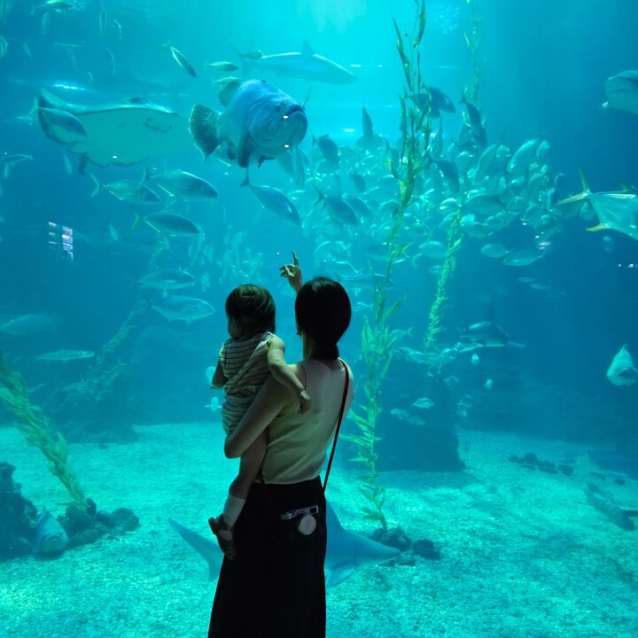 short form carousel card thumbnail