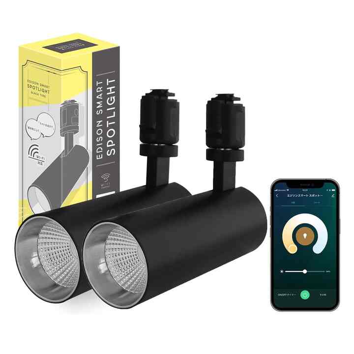 スポットライト ダクトレール用 (ブラック) 2個セット