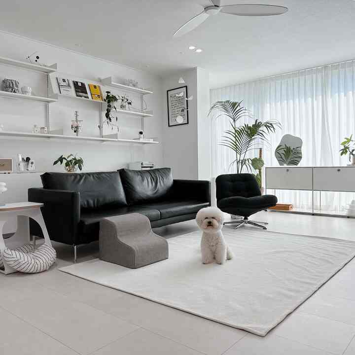A white and ivory toned living room featuring a black leather sofa, armchair, and large rug with a cute fluffy dog, showcasing a minimal and natural interior