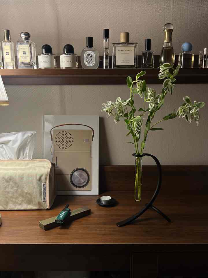 温かみのある木目調のワンルーム収納キャビネット上のテーブルに自然な緑の植物とインテリア小物が配置された雰囲気のある空間