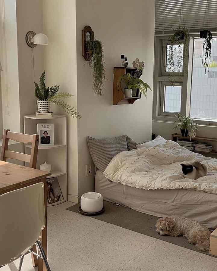 Beige and white toned studio bedroom featuring natural wood furniture and plants in a cozy setting