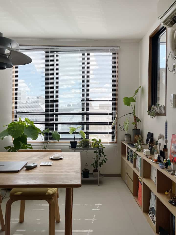 晴れた午後☀️

#一人暮らし部屋 #IKEA #無印良品 
#ACTUS #緑のある暮らし