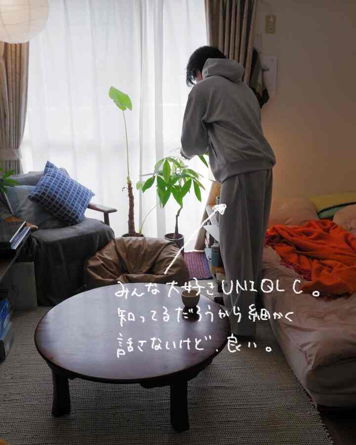 Beige and brown-toned studio living room with natural light and plants creating a cozy atmosphere