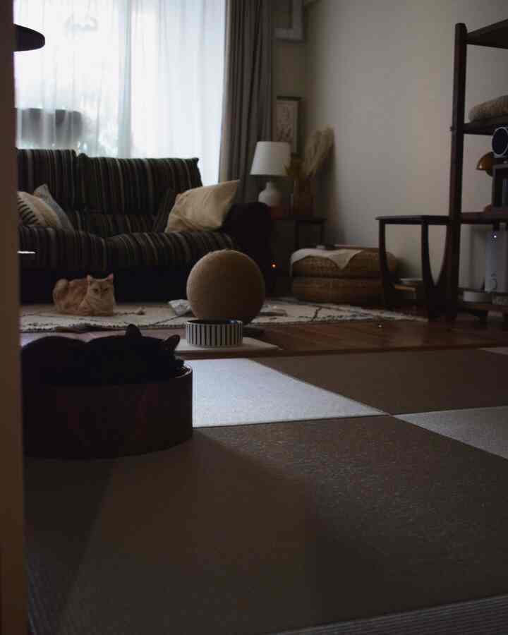 A dark-toned natural living room featuring a sofa, cat scratching post, and two relaxed cats on the floor