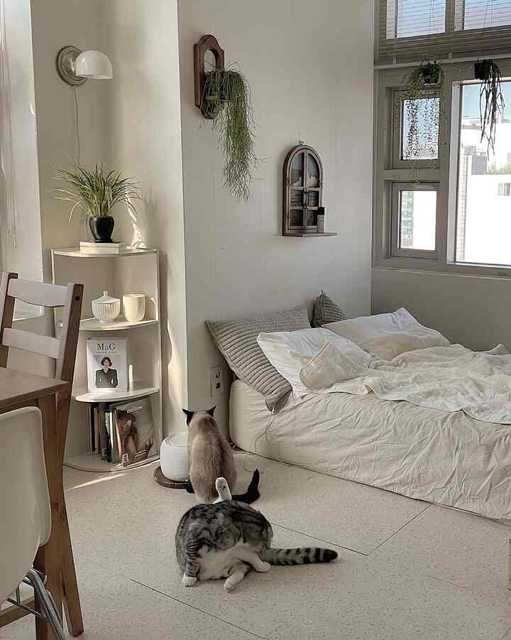 White and beige toned studio apartment bedroom featuring bedding, a corner shelf, and plants creating a cozy atmosphere