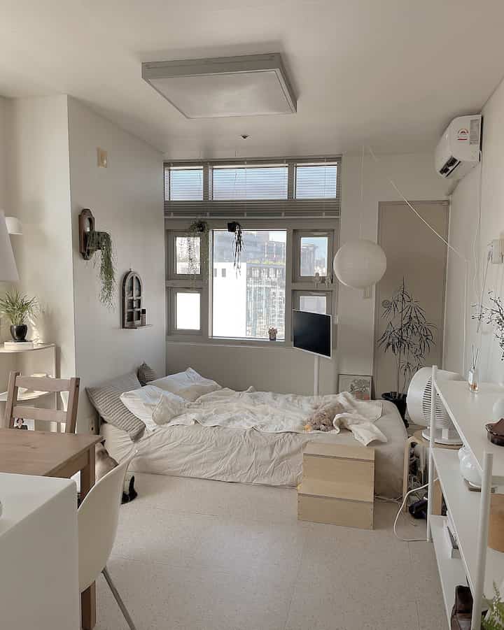 ナチュラルな色調のワンルームリビングと寝室、窓際にベッドとダイニングテーブルが配置された落ち着いた空間