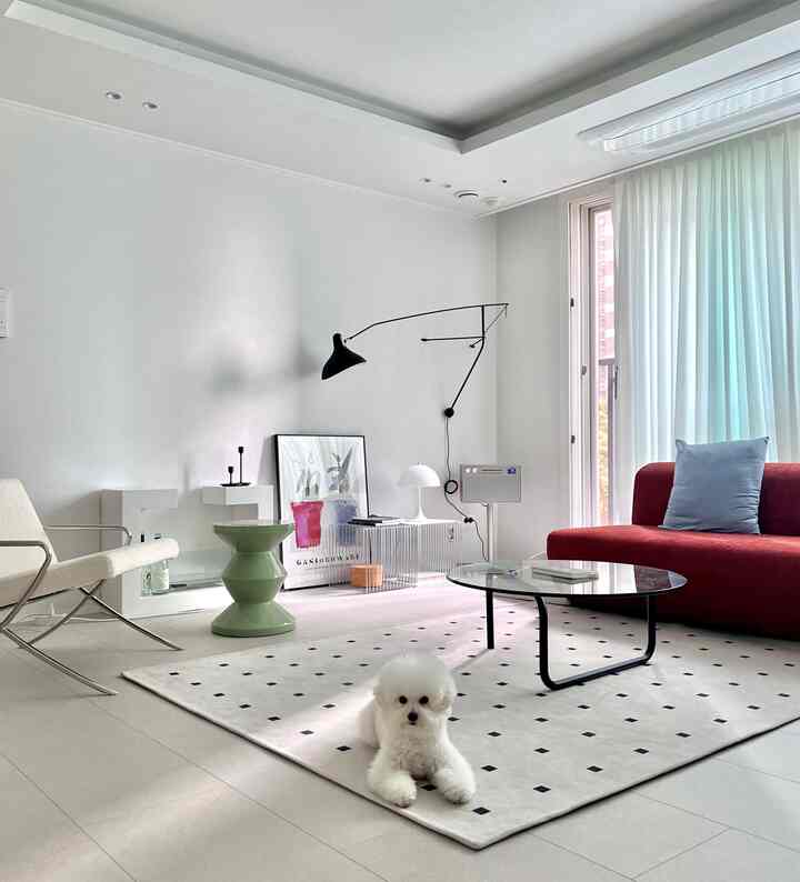Modern living room with white and red tones, featuring a white dog resting on a rug in a cozy setting