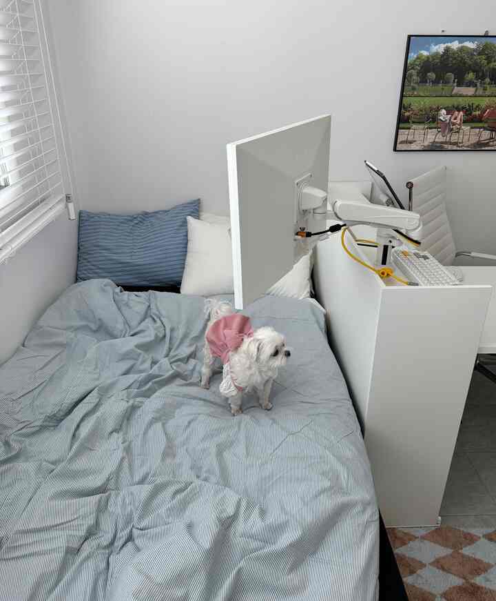 白い壁と青い寝具が調和するコンパクトな寝室、小さな犬とホームオフィスがある実用的なインテリア