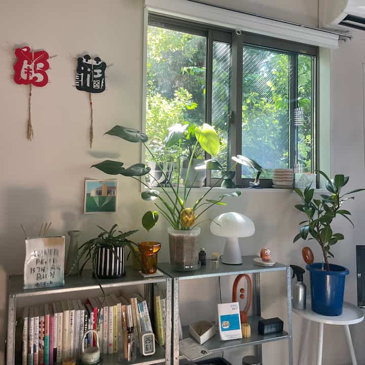 白を基調とした1Kアパートのリビング、大きな窓と金属棚、多種多様な植物が自然光に包まれた空間