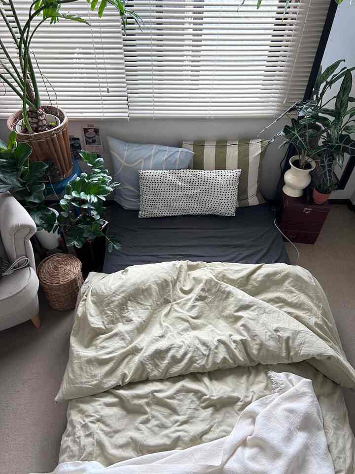 Beige-toned bedroom featuring a bed with cushions centrally placed, flanked by leafy plants providing a natural vibe