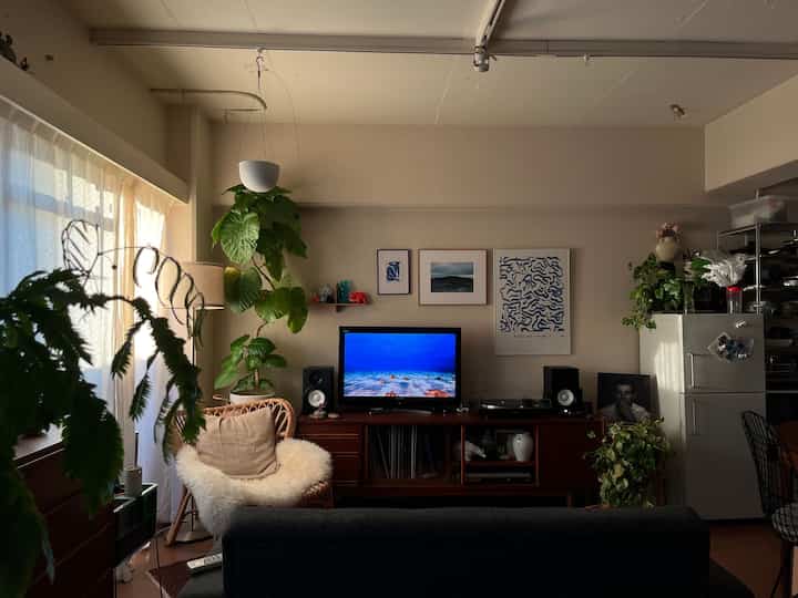 温かみのあるベージュの壁と自然素材の家具、多様な植物が配置された落ち着きのあるリビング