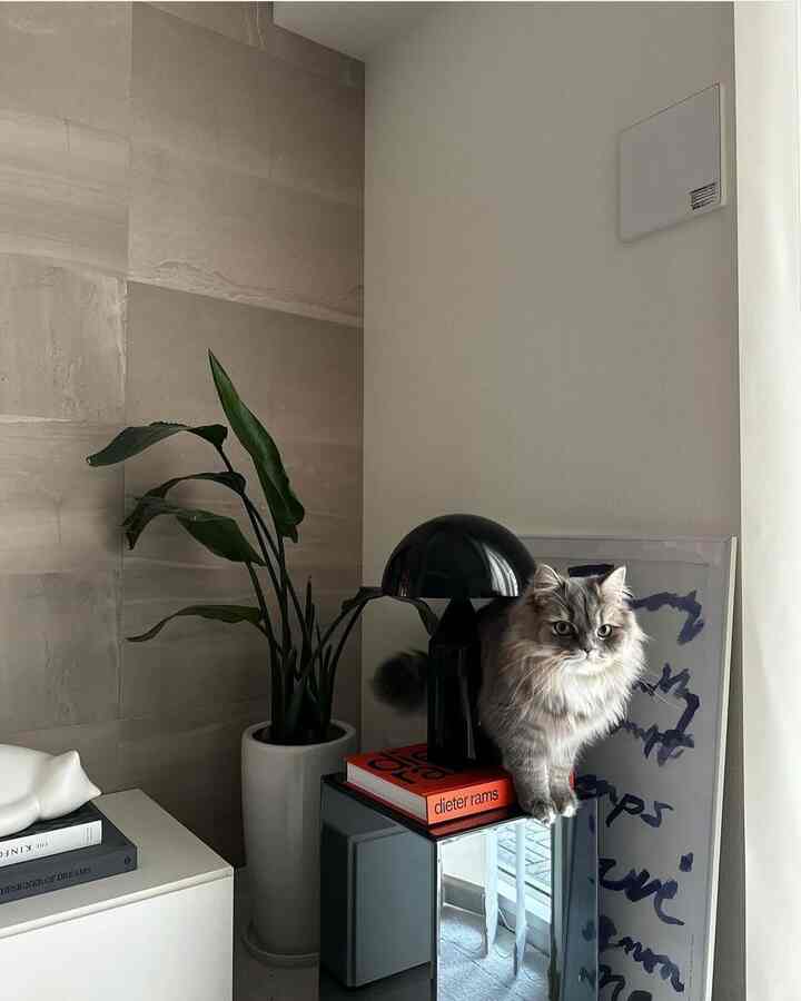 ナチュラルな色調と白を基調としたリビングの一角で、観葉植物の鉢とミラーキャビネットの上に黒いランプと猫が置かれたミニマルな空間