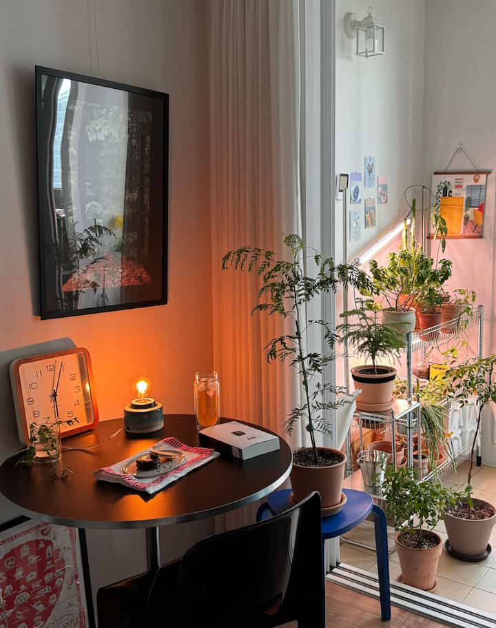 暖かなオレンジ色の照明が灯る小さなダイニングルーム、黒いダイニングテーブルと多くの鉢植えが配置された落ち着いたナチュラルモダンなインテリア
