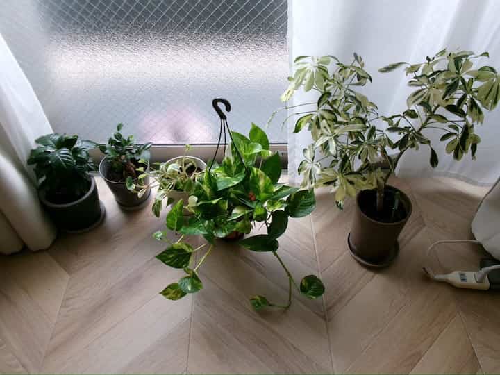 カーテンは、無印です
#カーテン #レースカーテン #無印良品 #無印 