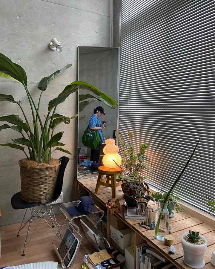 コンクリートの壁と木目調の床、大きな植物と温かみのある照明が配置されたワンルームの印象的な空間