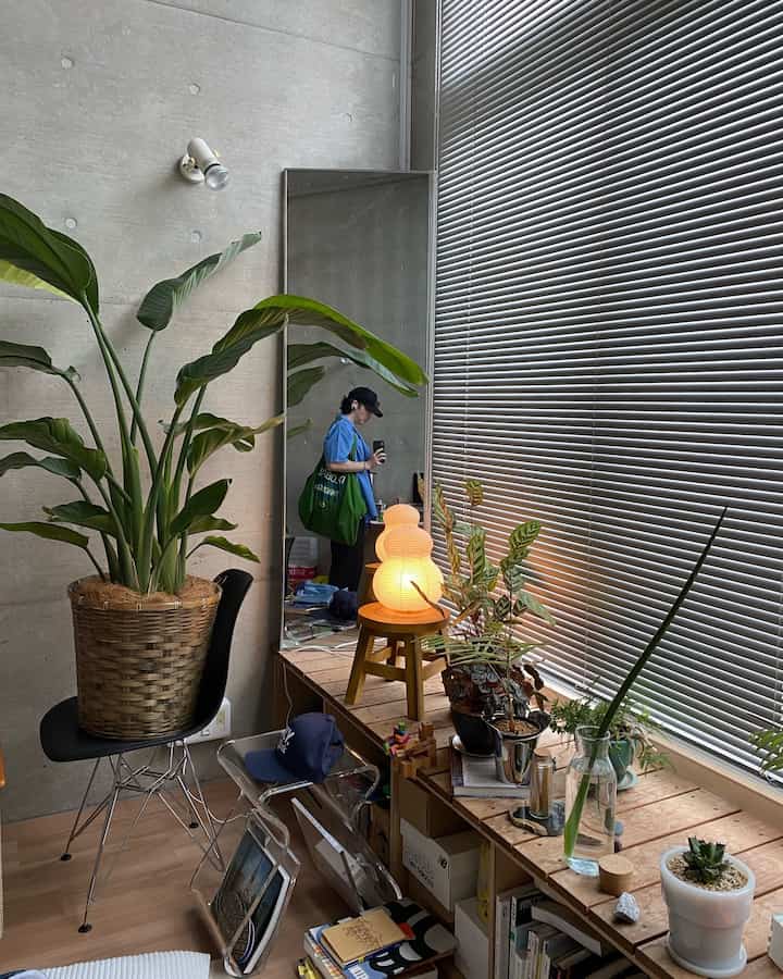 この時期は肥料を植物たちに与えてあげて元気に冬を越してもらう🌿

#コンクリート打ちっぱなし #コンクリート #ルームツアー #ルーム #お部屋紹介 #1人暮らし #インテリア #韓国インテリア #roomdesign #room #plants #morningroutine 