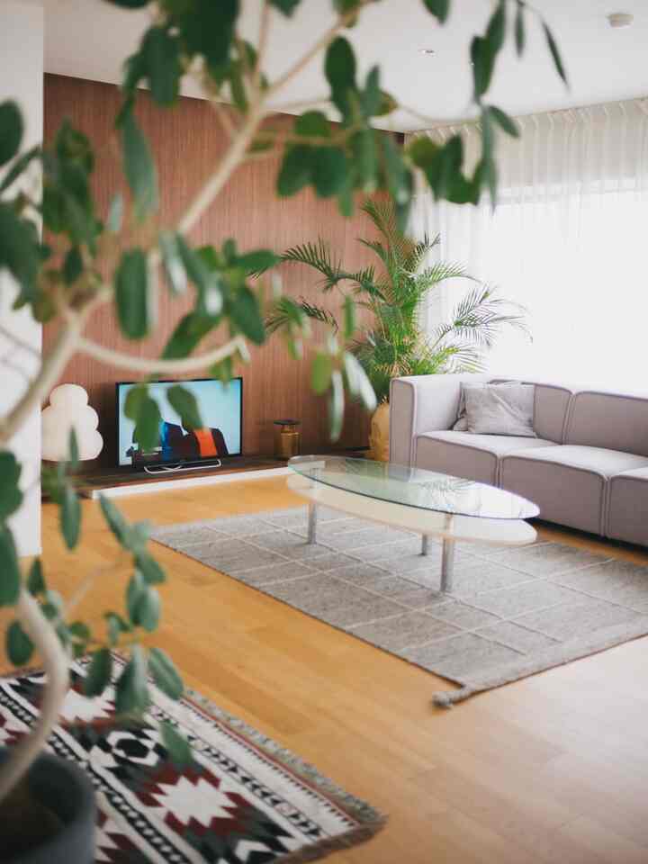 Bright natural-toned long narrow living room with gray sofa, glass coffee table, and lush green plants