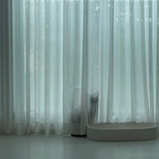 요새 우리집 포토존은 거실😼
꼭꼭 숨은 팽이 찾아보세용 #우리집포토존 #거실 #플랫포인트 #거실테이블 #개냥이 #내돈내산 #두잇 #펫테리어 