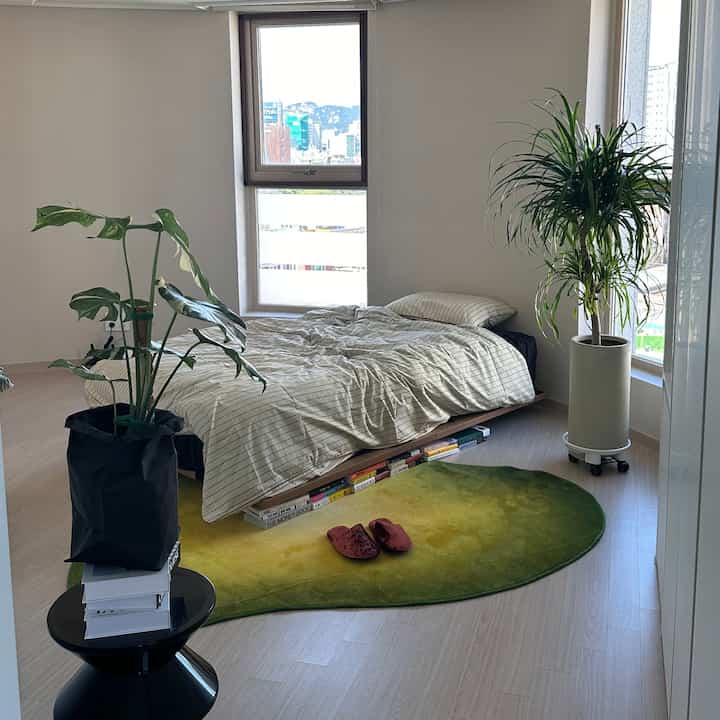 Bright white-walled natural wood-toned bedroom featuring a low platform bed, green gradient rug, and two plants creating a clean minimal space