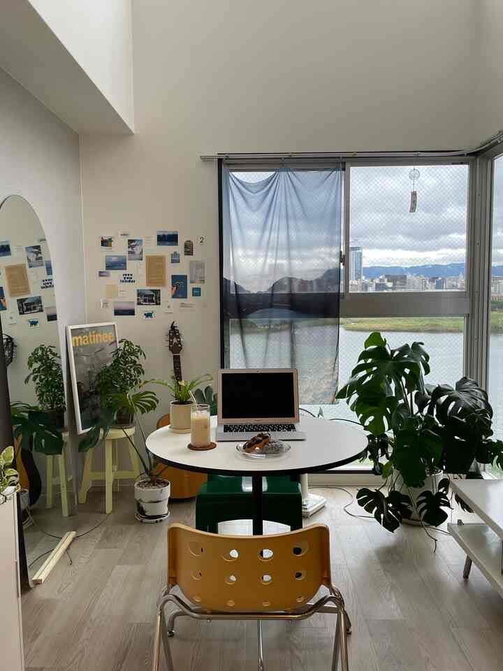 白と木目調が調和するワンルーム、テーブルとダイニングチェア、多数の観葉植物が配置された雰囲気のあるインテリア