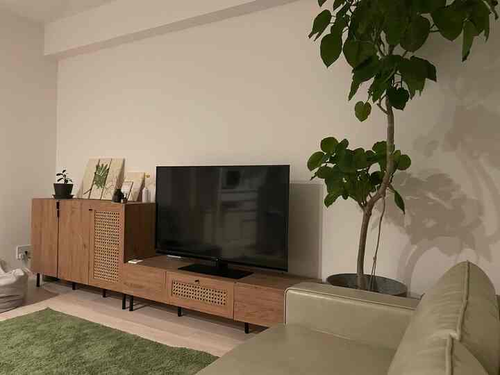 #フィカスウンベラータ
#観葉植物のある生活
#グリーンインテリア 