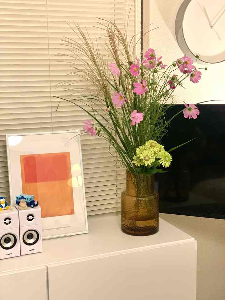 I received some autumn-like flowers 💐 I feel autumn really coming into the house with the autumn wildflowers 😌🌿
#Life with flowers #花束 #IKEA花瓶 #IKEA #賃貸マンション