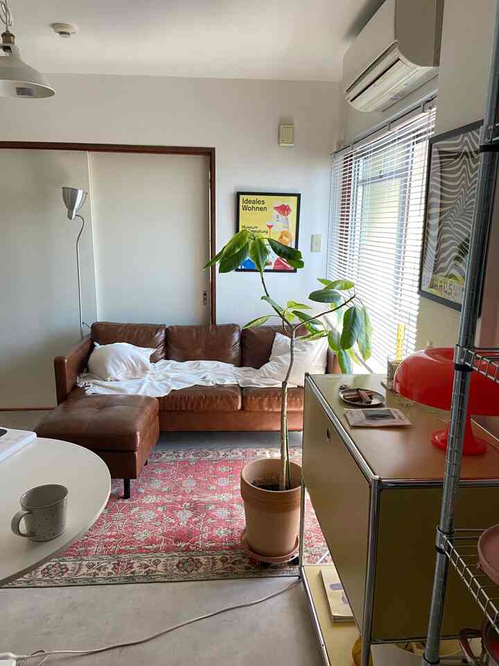 高身長アルテシマ様🪴

#interior #midcentury #midcenturymodern 
#marketb#lowya #ikea #bauhouse #1dk 
 #インテリア #リビング #生活感のある暮らし 
#ミッドセンチュリー #ミッドセンチュリーモダン 
#テレワーク #在宅勤務 #在宅ワーク#一人暮らし#ひとり暮らし