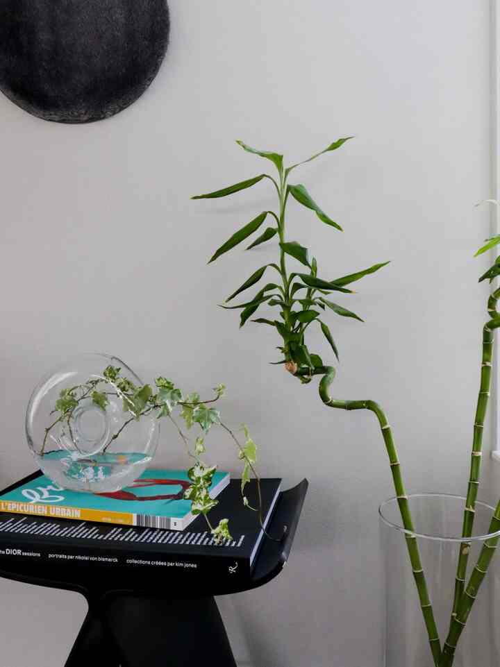 This is a photo of me wondering whether to use the flower vase upright or lying down.
It seems that it is better to use it upright after all.
It's fun to think of ways to use it in a slightly different way than its original purpose.
#Flower vase #花器