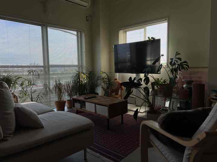 White and wood-toned living room featuring sofa, coffee table, and multiple plants with a natural atmosphere