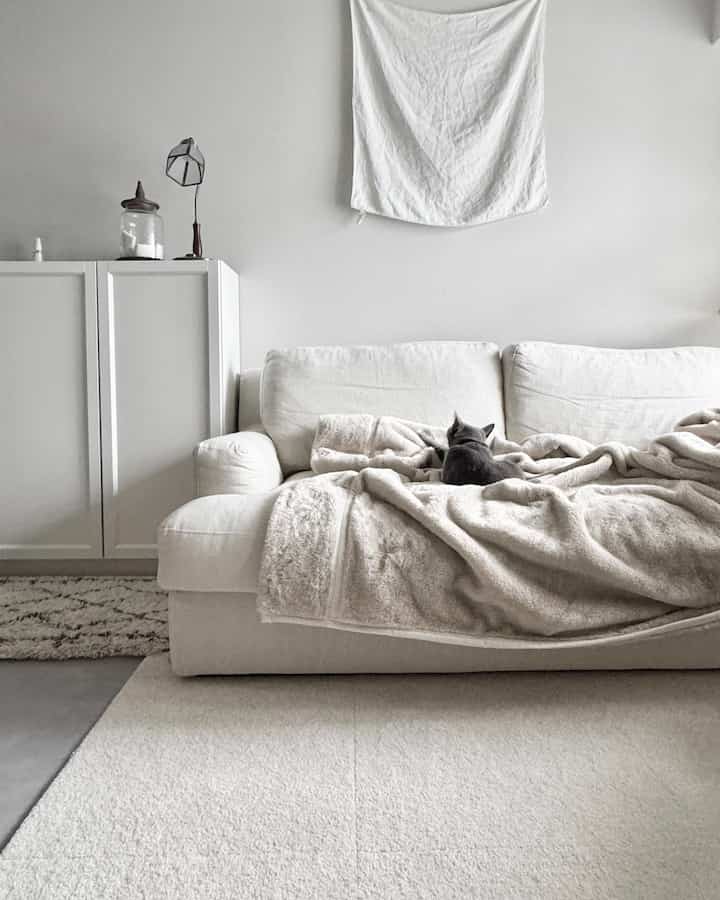 明るいモノトーンのリビングルーム、中央に大きな白いソファとベージュの毛布が配置され、その上にグレーの猫が座る落ち着いた空間