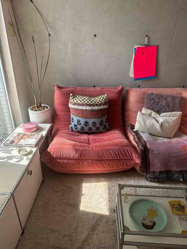 #リーンロゼ #ligneroset #ラグ #カーペット #usmハラー  #ブランケット #ソファ #ピンクインテリア #カラフルインテリア #リビングインテリア 