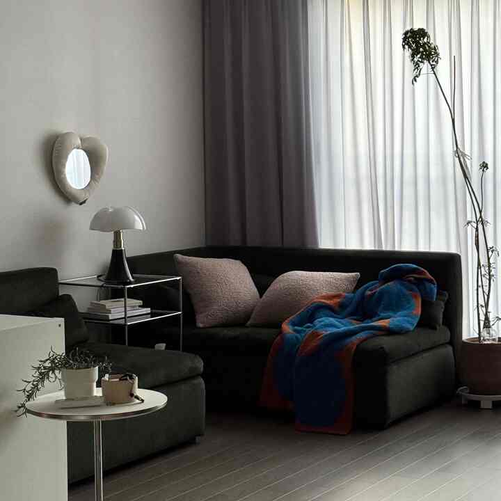 Natural-toned living room featuring dark green sofa with blue throw, soft curtains, and plants creating cozy atmosphere