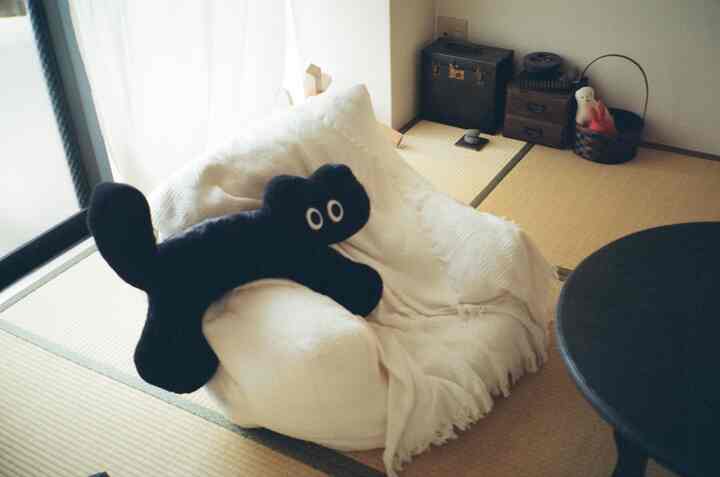 Cozy wa-modern living room with beige tatami flooring, white sofa, and cat-shaped cushion on sofa