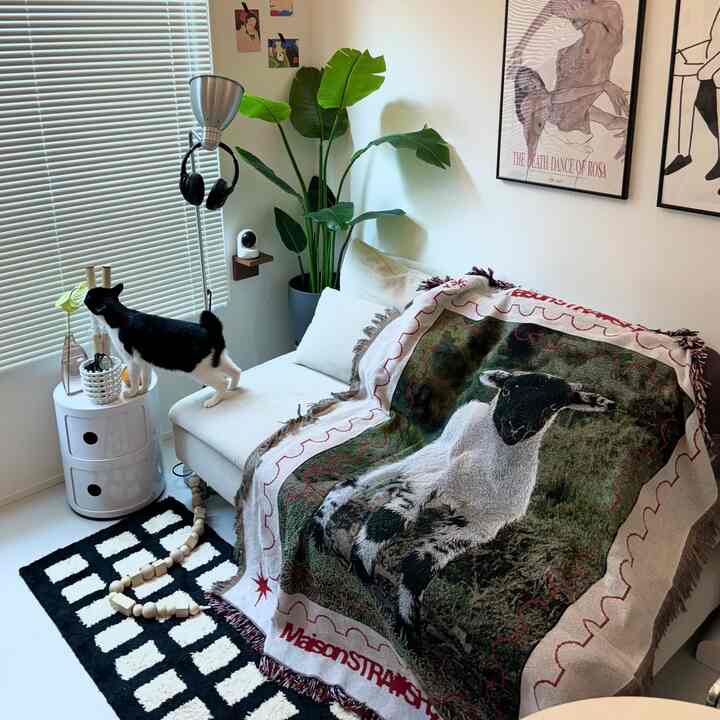 今日も猫様は元気でかわいい🐈‍⬛💞

#猫がいる暮らし #猫と家 
#猫のいる生活 #ソーデルハムン
#一人暮らしインテリア #一人暮らし部屋 