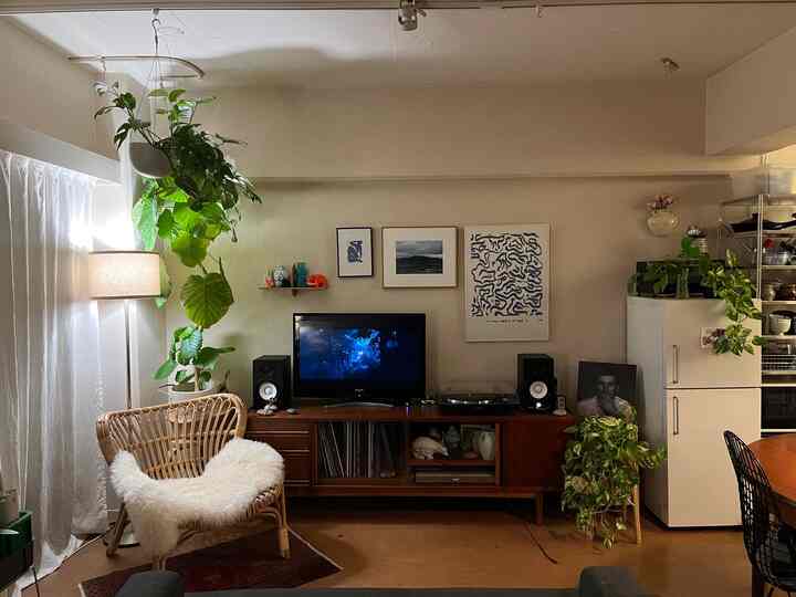 Natural wood tone living room featuring rattan armchair and several plants with cozy atmosphere