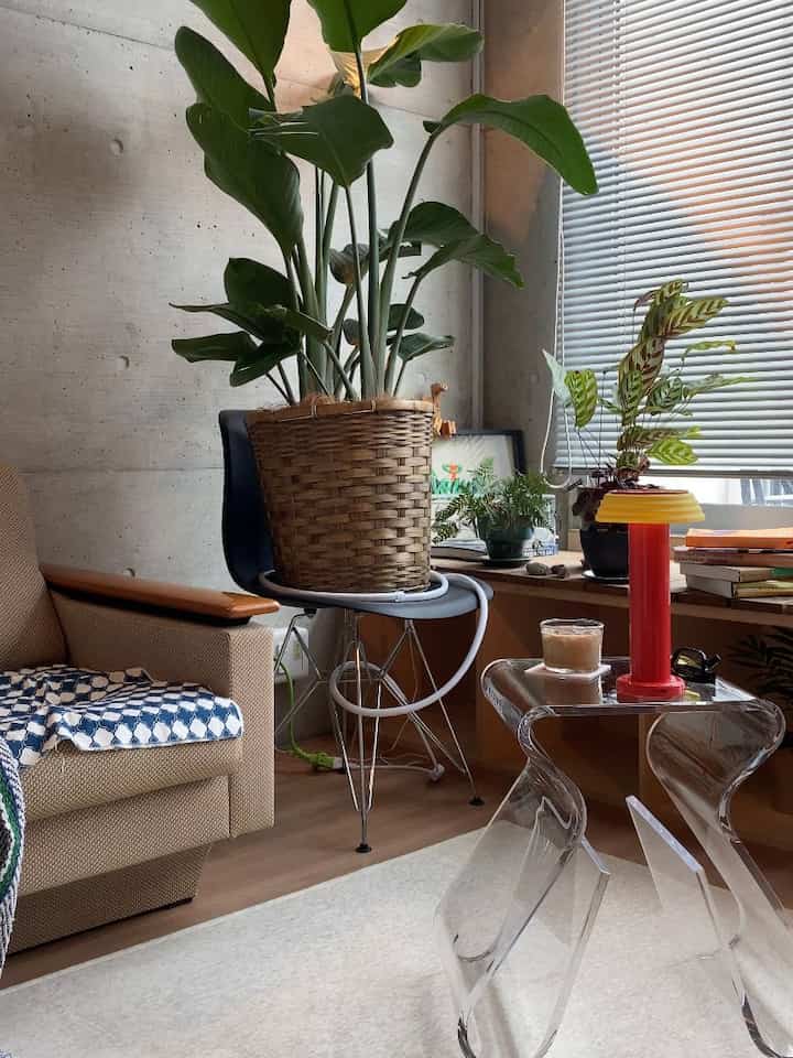 初めてアーティストから絵を買ったので、飾るの楽しみ☕️

#コンクリート打ちっぱなし #コンクリート #ルームツアー #ルーム #お部屋紹介 #1人暮らし #インテリア #韓国インテリア #roomdesign #room #plants #morningroutine 