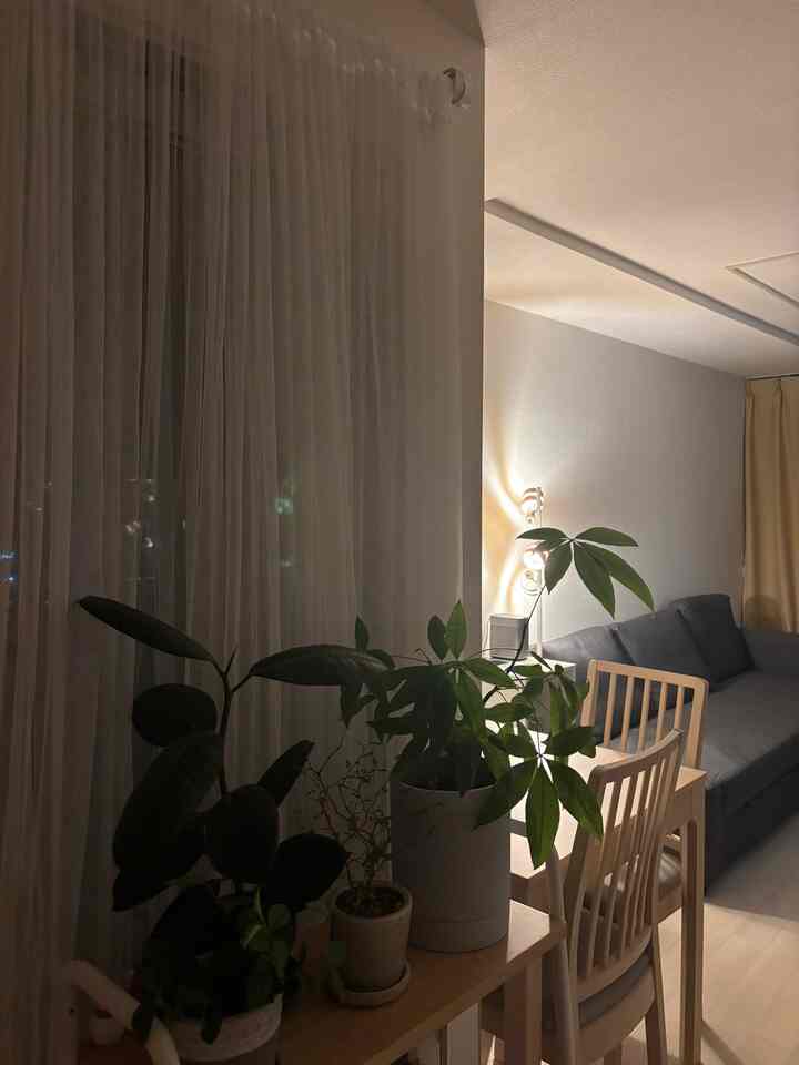 夜は間接照明でリラックス🌿
高さのあるプロジェクター置き場がちょうど良い！
#IKEA
#プロジェクターのある暮らし