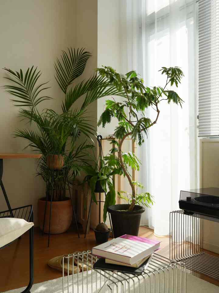 木目調の床とシルバーのメタルテーブル、多彩な植物が配置された温かみのある印象的なリビング