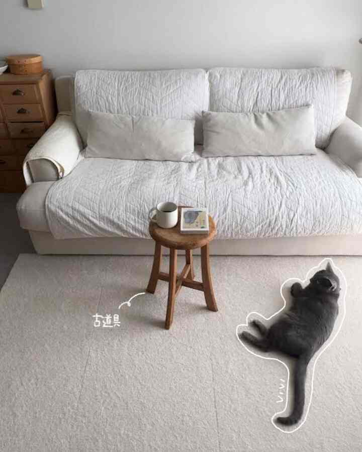 みんなでゴロゴロ🐈‍⬛👧🏻

#リビング #賃貸 #1LDK 
#ラグ #カーペット #ホワイト 
#ソファ #雲 