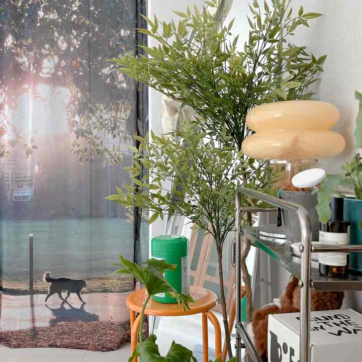 グリーンプラントとオレンジのスツール、ペットのポスターが調和したナチュラルトーンのリビングルーム