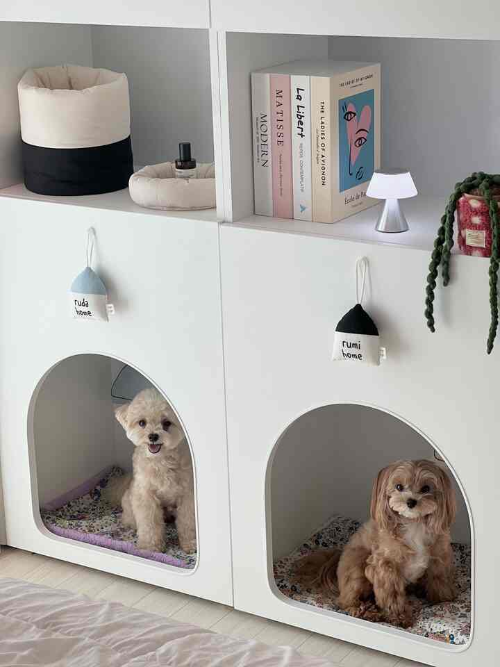  #강아지집 #강아지하우스 #펫테리어 #강아지와함께사는집 #반려견과사는집 #패브릭조명 #패브릭식물 #강아지집꾸미기 #수납가구 #안방인테리어 #안방꾸미기 #오늘의우리집 