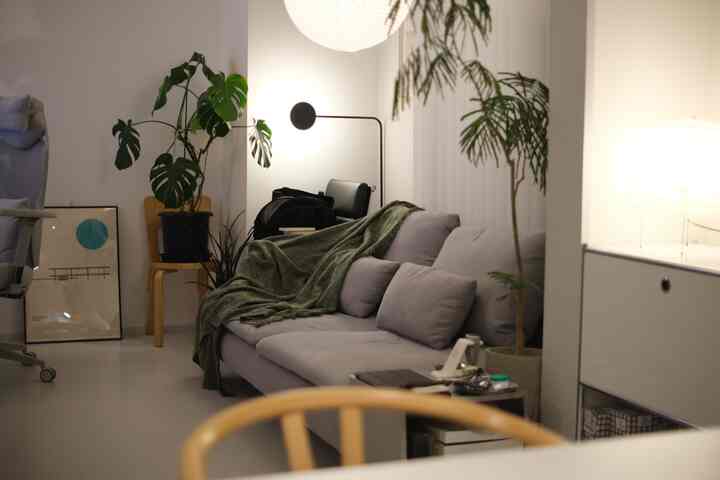 Light gray tone living room featuring a 3-seater sofa, floor lamp, and green plants creating a natural atmosphere