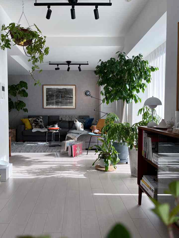 グレーのソファと多様な緑の植物が配置されたナチュラルなリビング、ソファの上に座る猫
