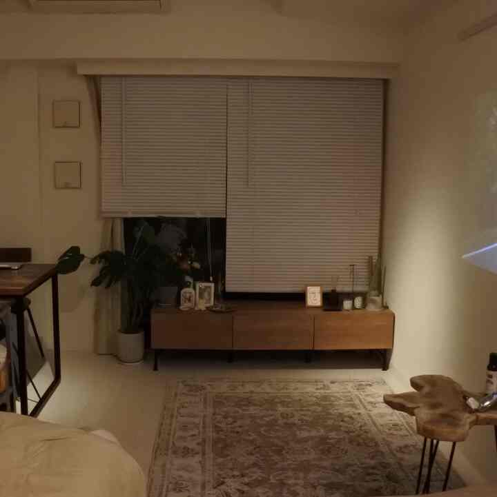 A cozy single living room space in white and brown tones, featuring blinds, a rug, and natural wood furniture