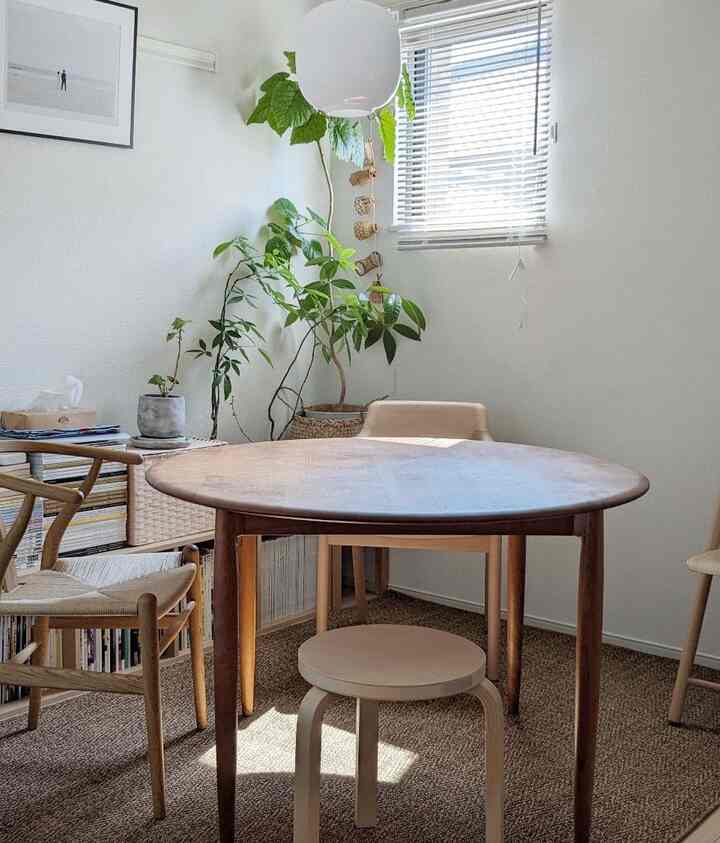 日中はまだ暑い日も。

#louispoulsen #vl45 #carlhansenandson #ychair #マルニ木工 #hiroshimaarmchair #artek #stool60 #aalto #宮崎椅子製作所 #kaichristiansen #ユニバースダイニングテーブル