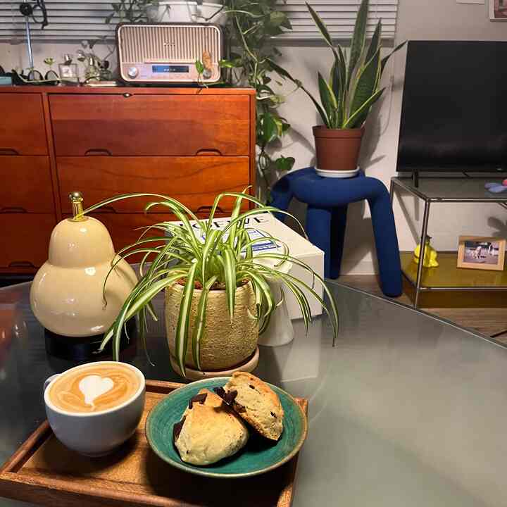 木目調と緑の植物が調和する北欧スタイルの8畳リビング、おうちカフェの雰囲気を持つコーヒーとデザートが置かれた空間