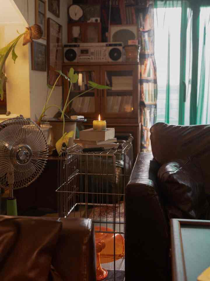 Warm brown leather sofas and a pet cage in a cozy living room with patterned curtains on window and plants placed inside