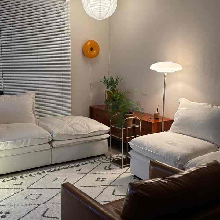 Living room in white and brown tones featuring spacious sofas, patterned rug, floor lamp, and plants creating a cozy atmosphere