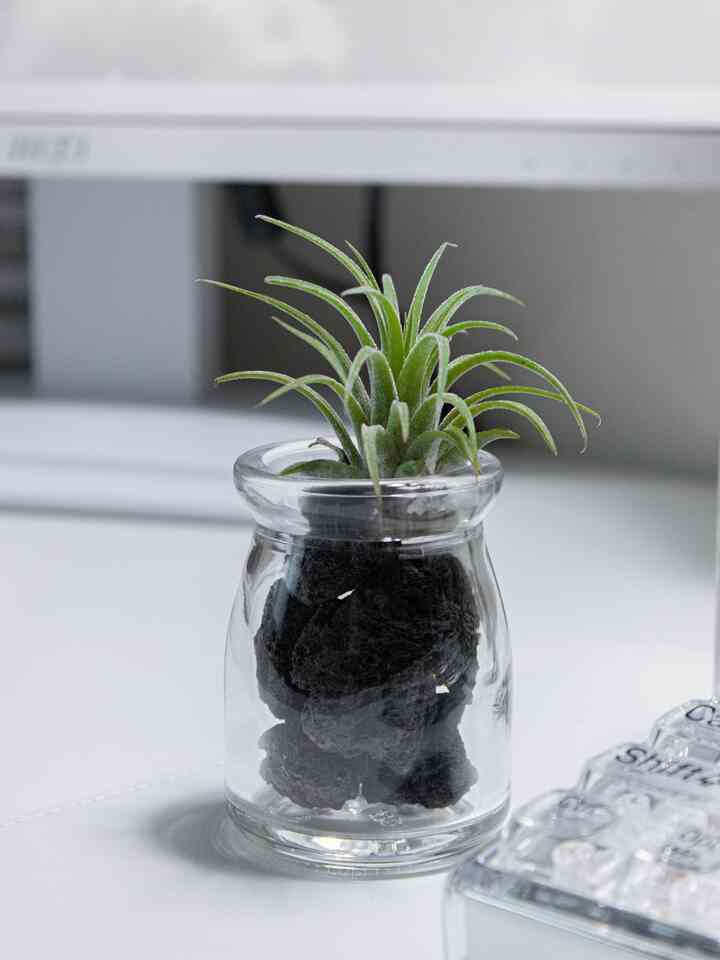 DIYをよくする方ではありませんが、今回作ったのがとても気に入って持ってきました！ 🌱イオナンサ鉢植えですが、あまりにも可愛くないですかㅎㅎ

私がガラスが大好きなので、たまに食べ物を食べて出てくるガラス瓶を見れば捨てるのが惜しいのですが。
最近聖心堂に行ったときに買ったプリン（本当においしいのでぜひ買ってください..）を食べたら、ガラス瓶がとてもきれいで、これは到底できませんでした。

応用する方法がないか悩む前にオブジェバイクンダルで残ったストーンを活用するヒントを伝えていただきましたのでそれを試してみることにしました😎

よく洗ったガラス瓶にストーンを入れてあげて、その上にイオナンサを載せてくれたら、まさにこれはLinuxオブジェ~~ 🤠✨

見てみると、パイナップルのような気持ちも私だと思います。

#interior #exterior #design #funiture #인테리어 #인테리어디자인 #실내디자인 #집꾸미기 #방꾸미기 #쇠테리어 #맞팔 #소통 #소품 #인테리어소품 #오브제 #diy #맞팔 #맞팔선팔 #소통 #소통해요 