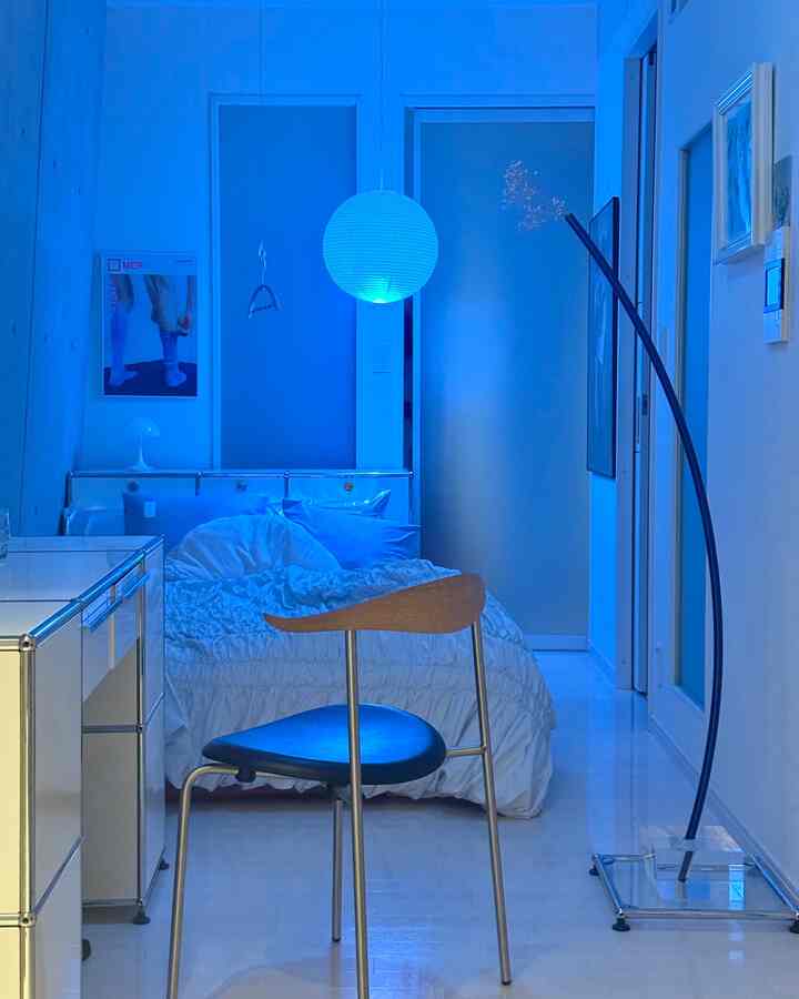 ブルーな空間

#usmハラー #カールハンセン #ch88 #ch88p #倉俣史朗 #ベッドインテリア #ベッドシーツ #掛け布団カバー #usmハラー